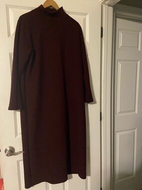Express Women's Long Sleeve Mock Neck Maxi Dress in Burgundy